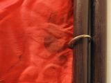 a close up of a piece of luggage with a red cover