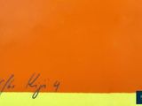 the cover of a book with a picture of an orange square on it