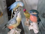 deux oiseaux perchés sur une étagère en verre