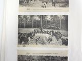 several black and white photos of horses and people in a field