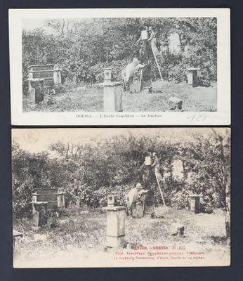deux photos en noir et blanc montrant deux hommes travaillant dans un jardin