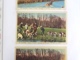 four pictures of people riding horses and dogs in a field