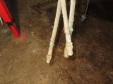 an image of a horse standing in a barn