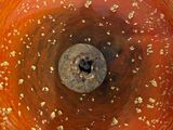 a close up of a red bowl with dirt on it