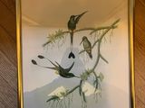 une photo d'une photo représentant deux oiseaux sur une branche