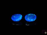deux oplites bleues qui brillent dans le noir sur une surface noire