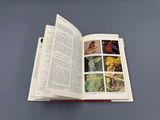 an open book with pictures of insects on it