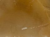 a close up of a piece of wax on a white surface