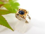 a ring with a blue stone on it sitting next to a green leaf