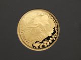 the coin is in a black box with a gold coin on it
