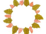 Collier avec des feuilles roses et vertes sur fond blanc