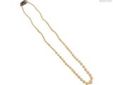 gros plan d'un collier de perles sur fond blanc