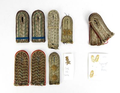 Plusieurs paires de chaussures sont disposées sur une surface blanche