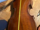 a man measuring the size of a violin on the floor