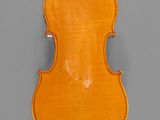 an antique violin with the back of the violin facing forward