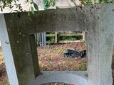 a concrete bench with a mirror on it in the grass