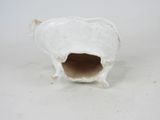 a white vase that has a small animal inside of it