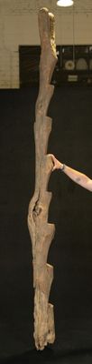 une femme qui se tient debout devant un arbre
