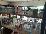 a shelf full of glassware in a room