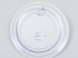 an image of a white plate with a blue stripe around the edge