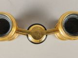 brass plated pair of binoculars with black lenses on a white surface