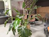 tables and chairs in a room with a plant in a pot