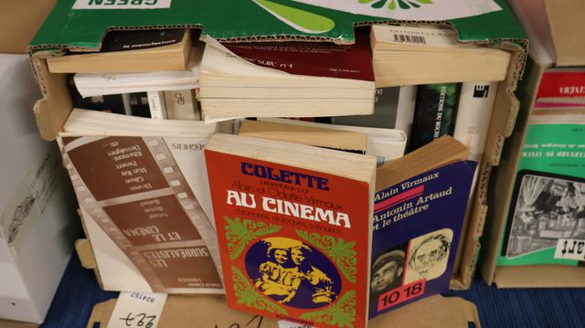 Lot d’ouvrages de Alain et Odette VIRMAUX : dont : La constellati...