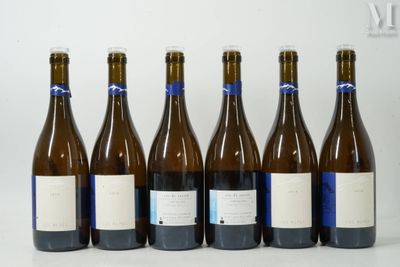 six bouteilles de vin sont alignées sur une surface blanche