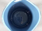 a blue cup with a black lid on a table