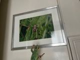 a picture of a frog that is sitting on a shelf