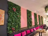 une photo d'un salon avec des plantes accrochées au mur