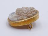 an image of a gold and white broochle with a lion on it