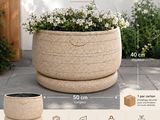 une jardinière remplie de fleurs