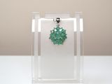 a glass display case with a green pendant on it