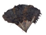 un éventail noir orné de plumes sur fond blanc