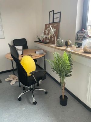 a desk with a chair and a potted plant in the corner