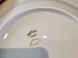 a person holding a white plate with a red and black design