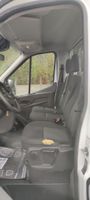 FORD TRANSIT CHC P350 L5 2.0 ECOBLUE 165 S&S TREND BENNE - G… (photo 6)