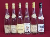 six bouteilles de vin sont alignées sur un fond rouge