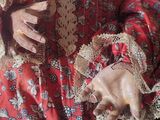 a close up of a doll wearing a red dress