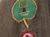 a patch on the back of a jacket with a green leaf and a red arrow