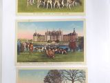 four postcards of horses and riders in front of a large building