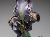 une fleur violette posée sur une feuille verte