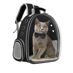 un chat assis à l'intérieur d'un sac à dos