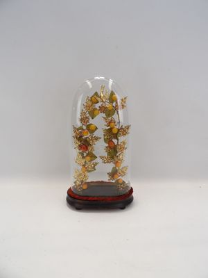 une cloche en verre contenant une plante