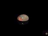 l'image d'un oplite blanc dans l'obscurité