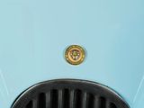 a close up of a car ' s emblem on the front of it