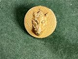 une pièce d'or représentant une tête de cheval sur un fond vert