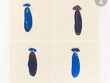 quatre images différentes représentant des formes bleues et rouges sur fond blanc