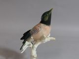 a small bird that is sitting on top of a branch